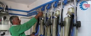 Chadha Bereket Pipeline Milk Parlour for Traditional Cow Houses – Save Lacs of Money