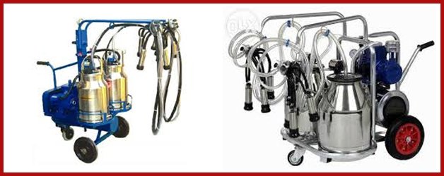 5 Video to Become an Expert in Bucket Milking Machines