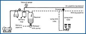 5 Reasons for the Bucket Milking Machine Failure