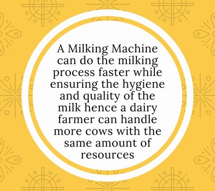 milking process