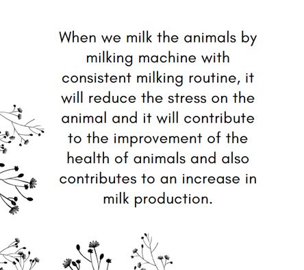 milking machine with routine
