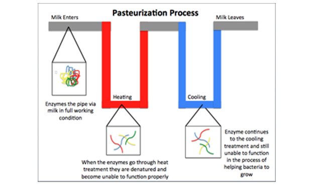 pasteurization process
