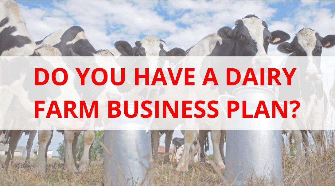 dairy farm business plan