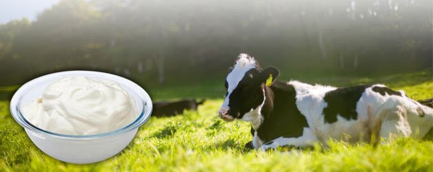 Milk Parlour Shop- Where You Sell Your Milk and Milk Products