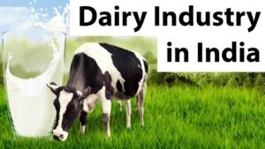 Various Subsidies in Dairy Industry Available in India and Procedure of Application