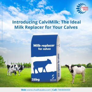 Introducing CalviMilk: The Ideal Milk Replacer for Your Calves