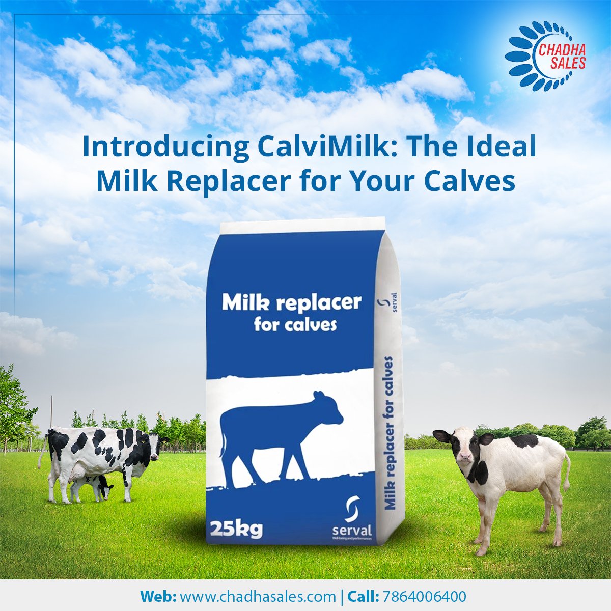 Introducing CalviMilk: The Ideal Milk Replacer for Your Calves