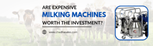 Are Expensive Milking Machines Worth the Investment?