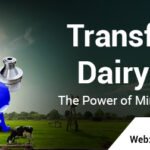 Transforming Dairy Farming: The Power of Mini Dairy Equipment