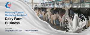 Moo-ving Forward: Mastering the Art of Dairy Farm Business