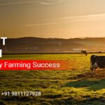 How to Start A Dairy Farm: Crack the Code to Dairy Farming Success