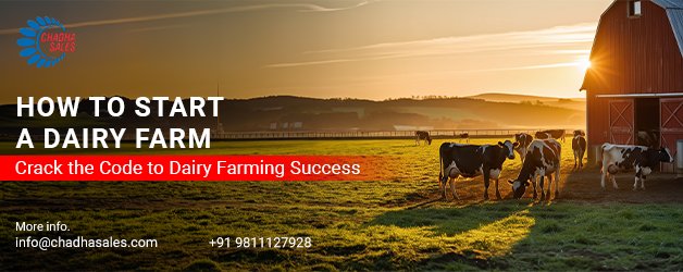 How to Start A Dairy Farm: Crack the Code to Dairy Farming Success