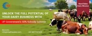 Unlock the Full Potential of Your Dairy Business with UP Government’s 50% Subsidy Scheme