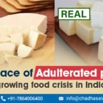 The Menace of Adulterated Paneer: A Growing Food Safety Crisis in India