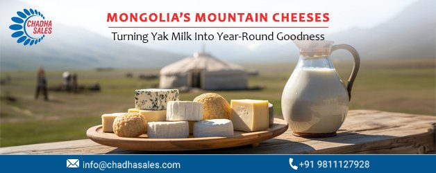 Mongolia’s Mountain Cheeses: Turning Yak Milk Into Year-Round Goodness