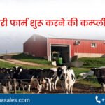छोटे डेयरी फार्म शुरू करने की कम्प्लीट गाइड