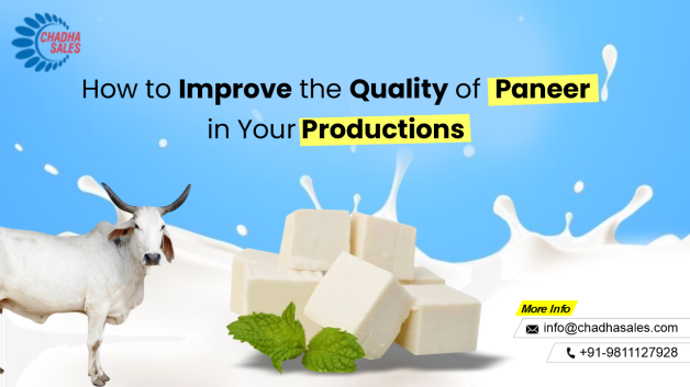 How to Improve the Quality of Paneer in Your Productions