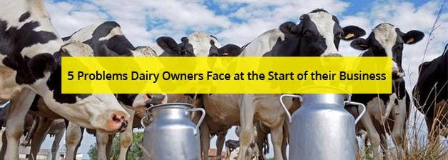 5 Problems Dairy Owners Face at the Start of their Business