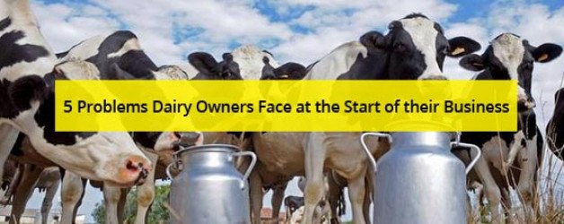 5 Problems Dairy Owners Face at the Start of their Business