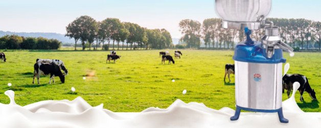 Skimmed Cream Separator For Dairy Farming