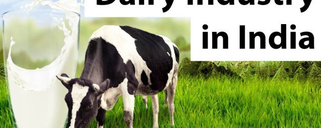 Various Subsidies in Dairy Industry Available in India and Procedure of Application