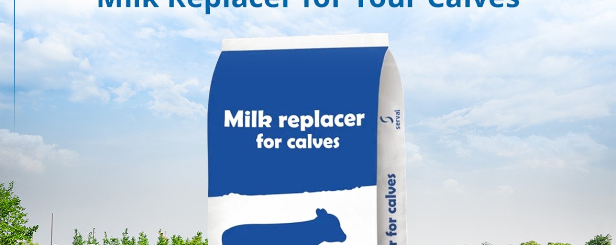 Introducing CalviMilk The Ideal Milk Replacer for Your Calves