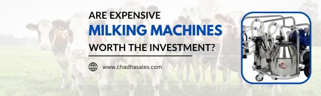 Are Expensive Milking Machines Worth the Investment?